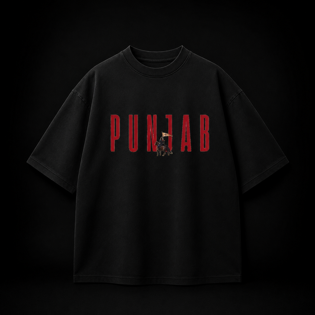 Punjab Heritage Oversized T-Shirt – Premium 240 GSM French Terry Cotton | White